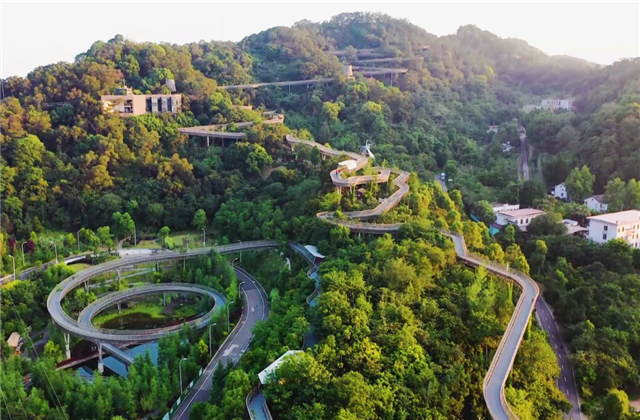 创世大发集团荣获两项国家级协会工程建设科学技术奖！